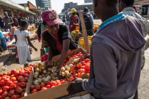 Harare Is Surviving, Not Living