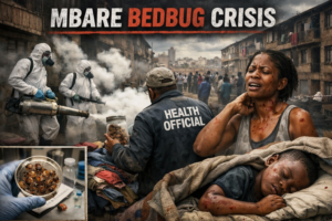 Mbare Under Siege: Bedbugs Infest High-Density Suburb